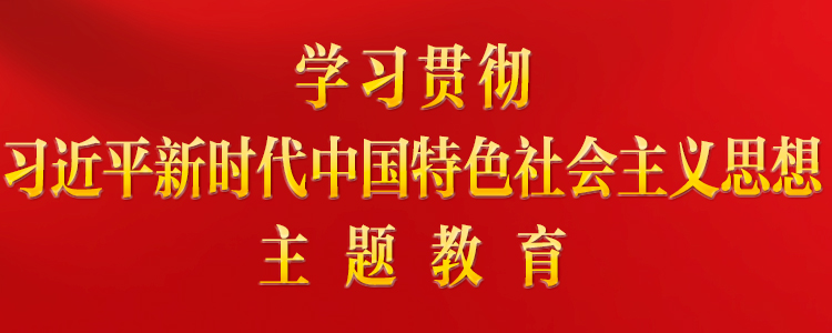 學(xué)習(xí)貫徹習(xí)近平新時(shí)代中國(guó)特色社會(huì)主義思想主題教育